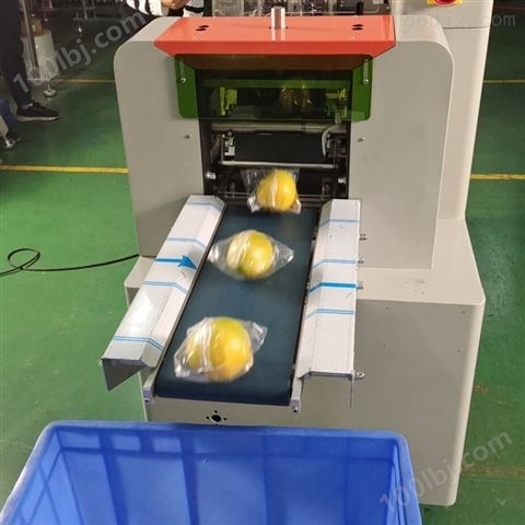 精品袋柠檬包装机生产