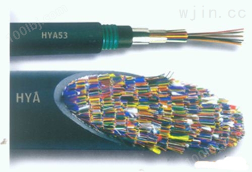 市内铜芯电缆WDZ-HYA53铠装