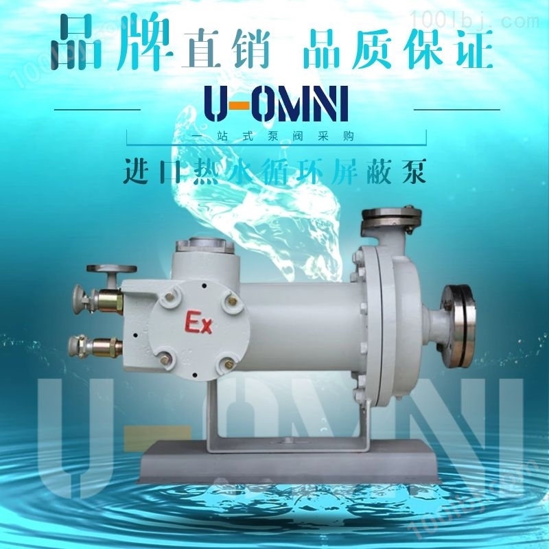 热水循环屏蔽泵-美国欧姆尼U-OMNI