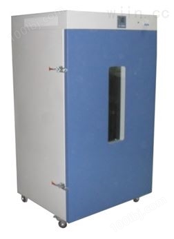 DGG-9240A 250℃立式恒温鼓风干燥箱