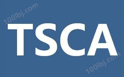 手机充电器TSCA检测