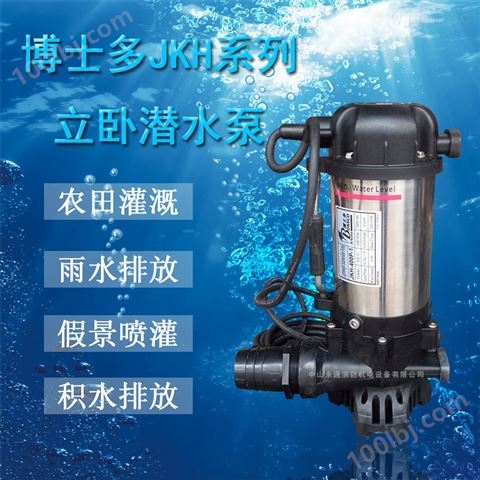 JKH-750P-1/220V立卧两用潜水泵