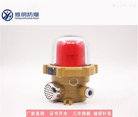 BJD96-110分贝/220V防爆LED声光报警器